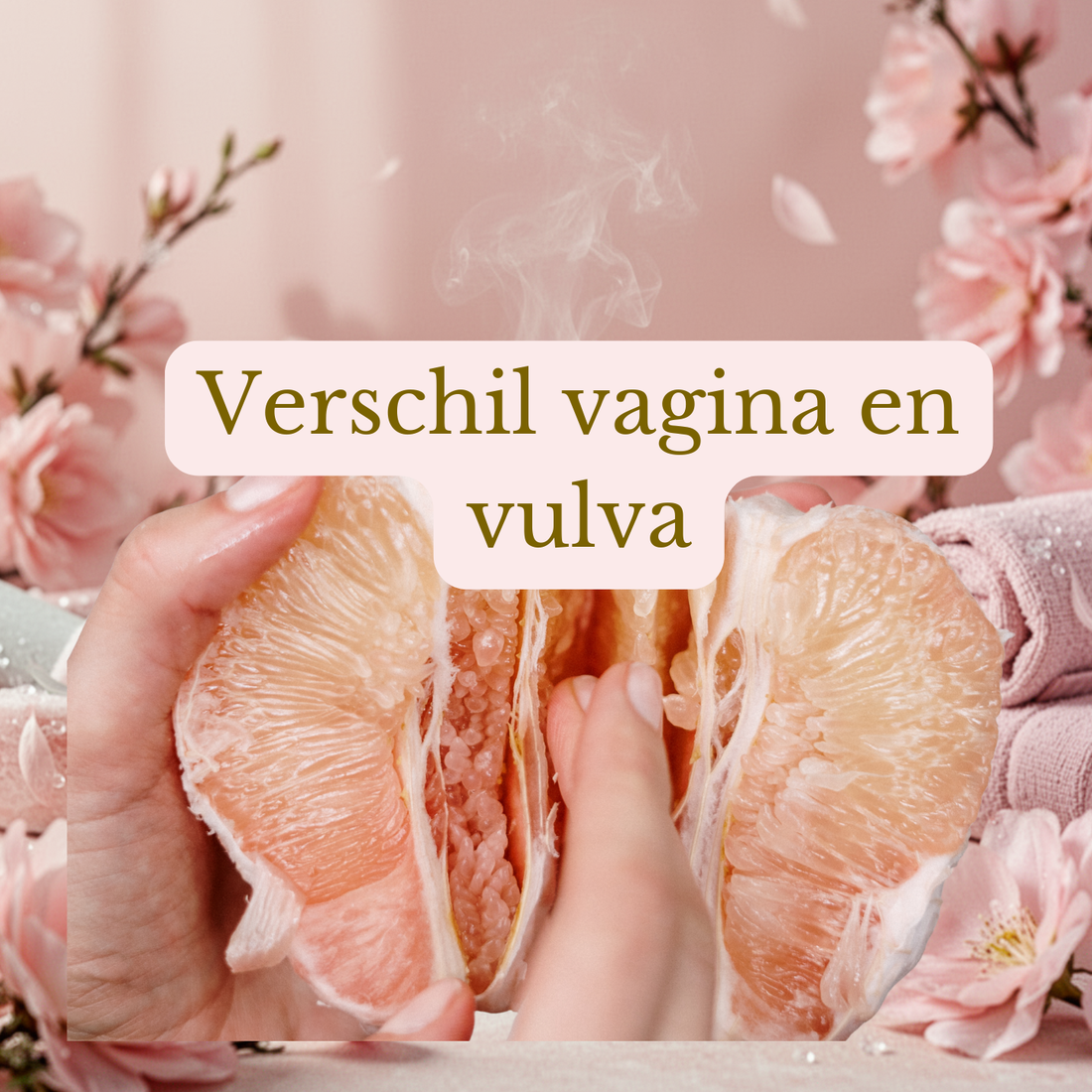 Veelgestelde vragen over vulva, vagina