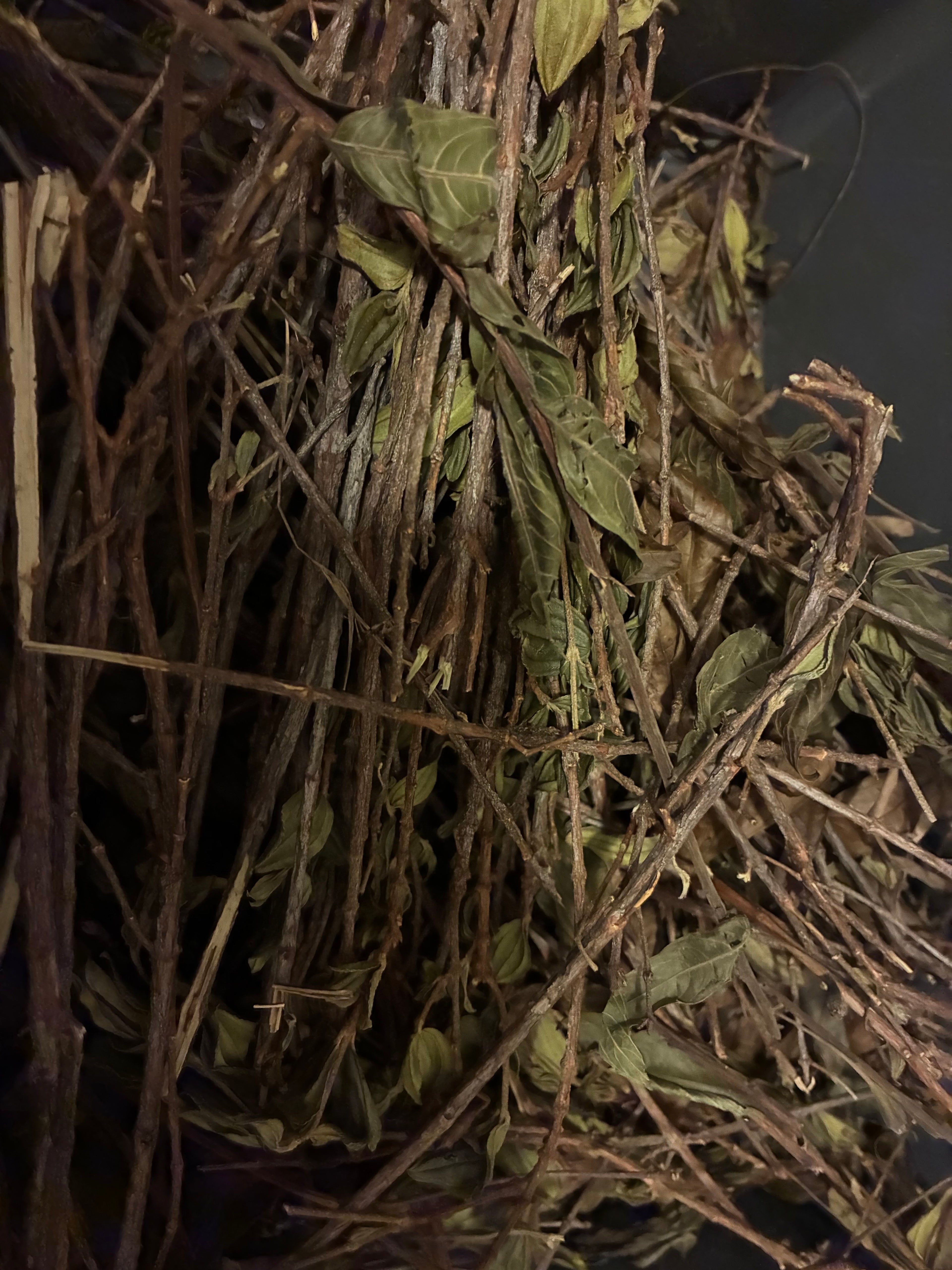 Faya Watra Starter Set - Pink