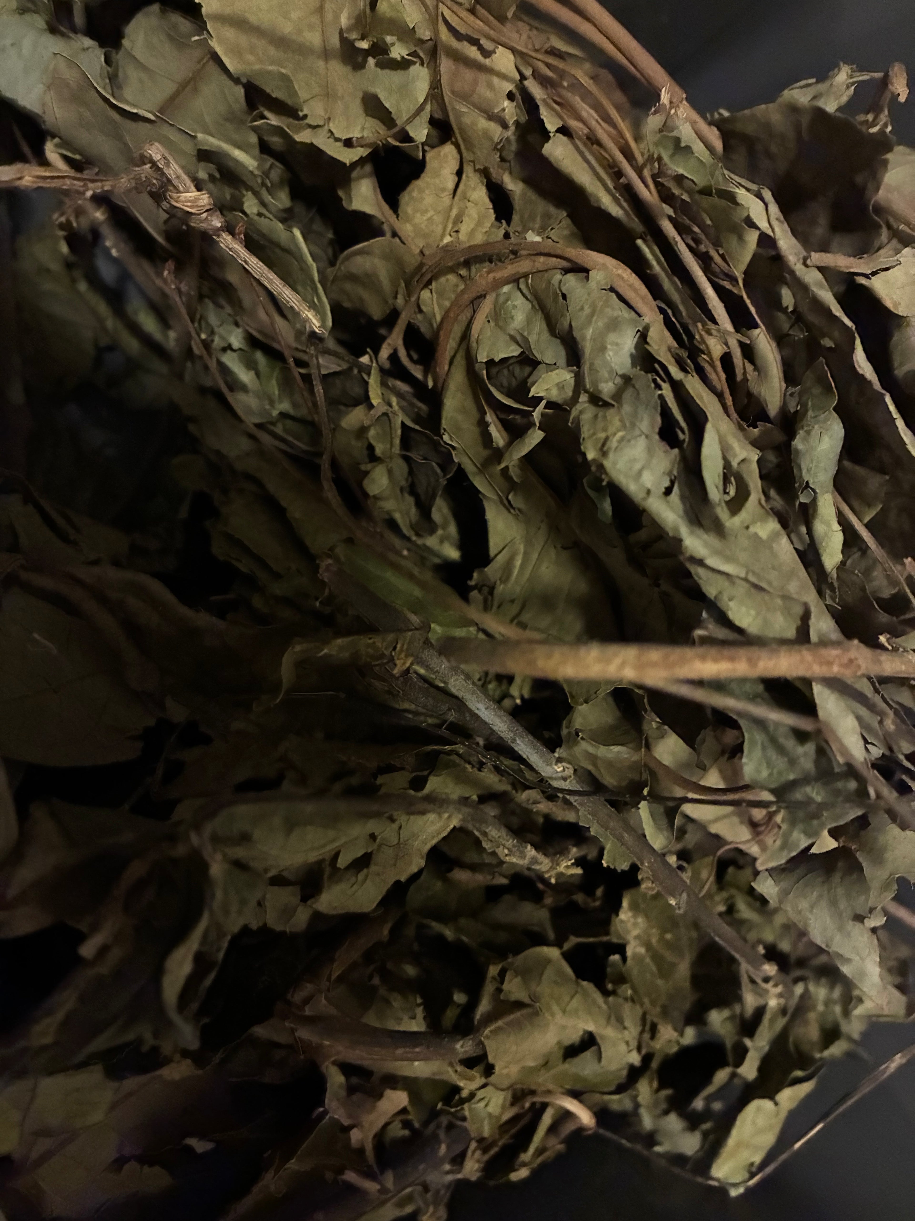 Faya Watra Starter Set - Pink