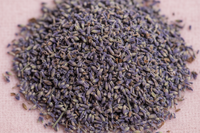 Lavendel